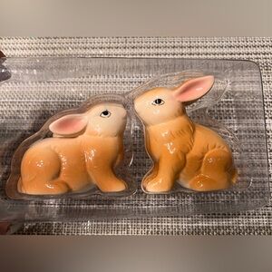 Easter Bunny Ceramic Salt & Pepper Shakers. New in box.